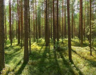 Санаторий "Прометей"